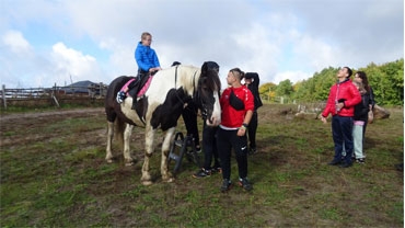 REHABILITACJA REALIZOWANA PRZEZ SOSW W WIELGIEM