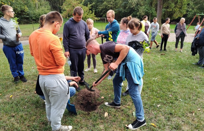 IMG_20231004_135021427