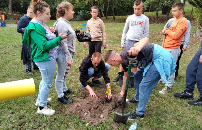 IMG_20231004_135243883