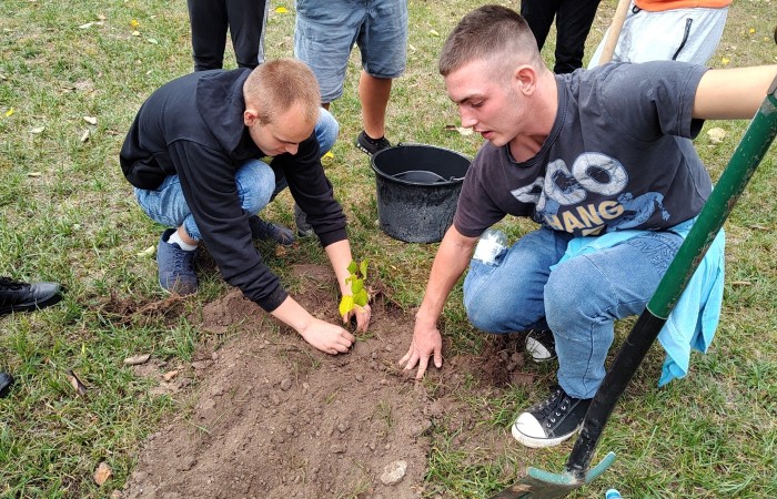 IMG_20231004_135256735