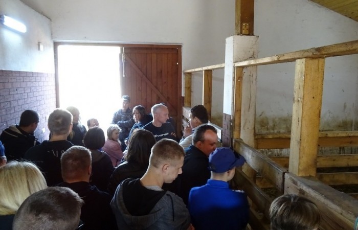 Hipoterapia w Ośrodku Rehabilitacji i Rekreacji Konnej w Jastrzębiu