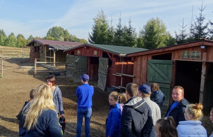 Hipoterapia w Ośrodku Rehabilitacji i Rekreacji Konnej w Jastrzębiu