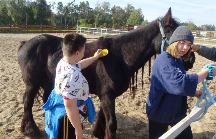 Hipoterapia w Ośrodku Rehabilitacji i Rekreacji Konnej w Jastrzębiu