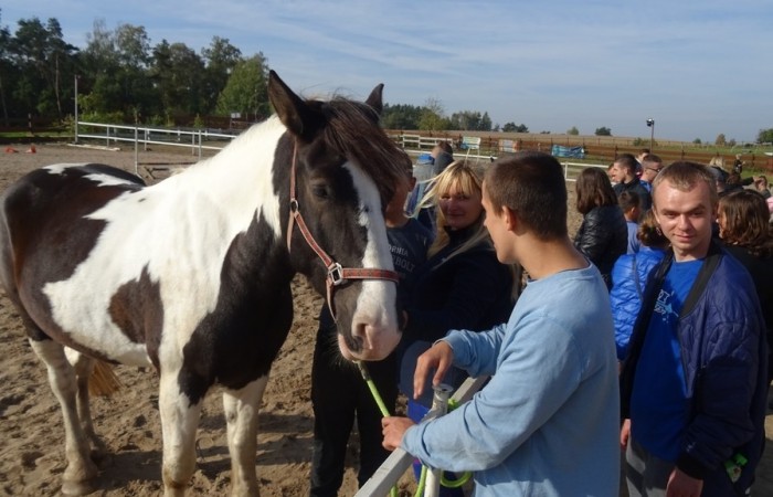 Hipoterapia w Ośrodku Rehabilitacji i Rekreacji Konnej w Jastrzębiu