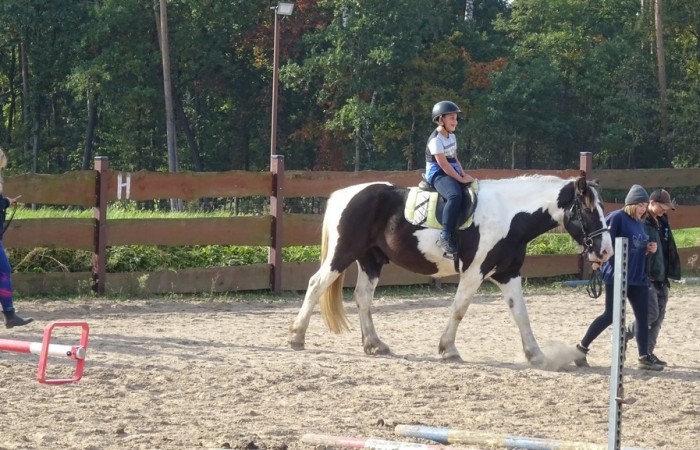 Hipoterapia w Ośrodku Rehabilitacji i Rekreacji Konnej w Jastrzębiu