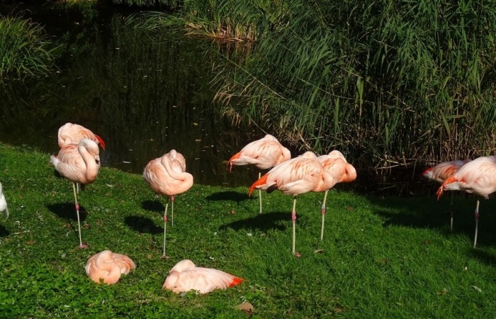 Wycieczka do Warszawy