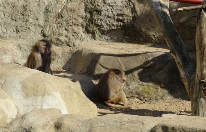 Wycieczka do Warszawy