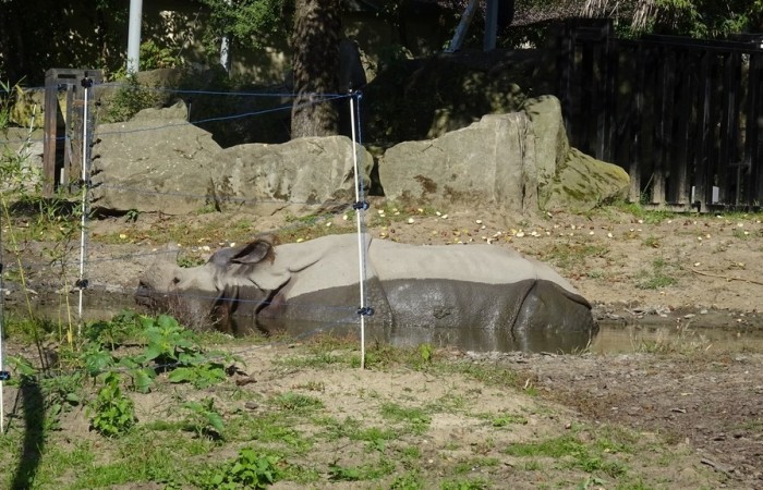 Wycieczka do Warszawy