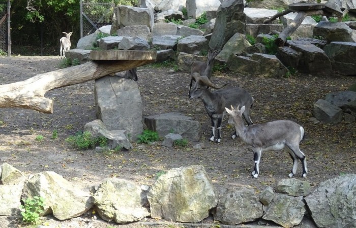 Wycieczka do Warszawy