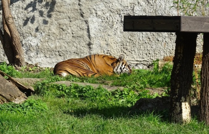 Wycieczka do Warszawy