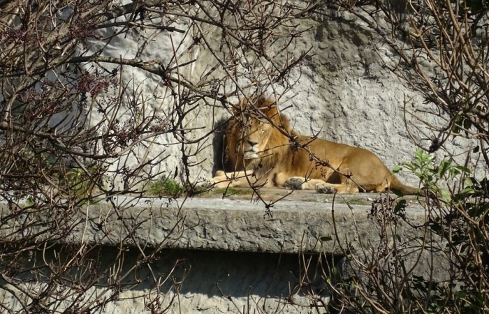 Wycieczka do Warszawy